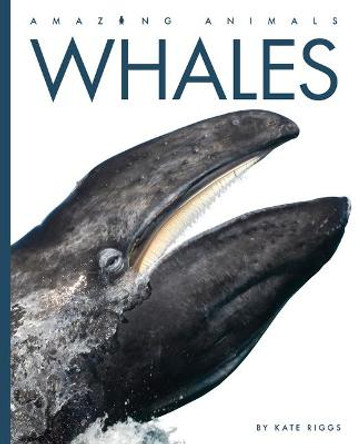 Whales by Kate Riggs