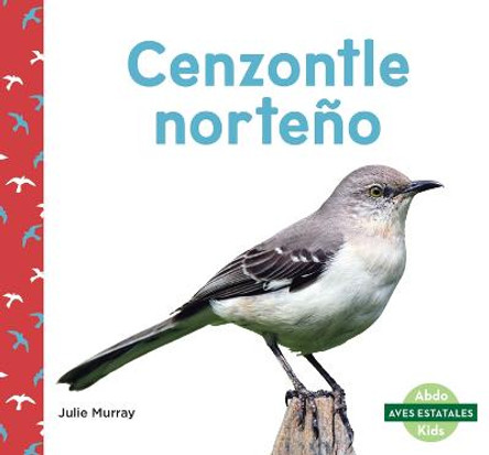 Cenzontle Norteno (Northern Mockingbirds) by Julie Murray