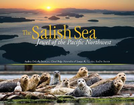 The Salish Sea by Audrey Delella Benedict