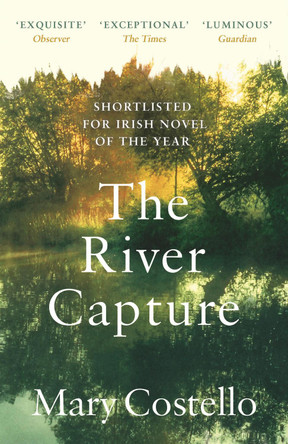 The River Capture by Mary Costello