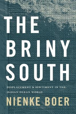 The Briny South: Displacement and Sentiment in the Indian Ocean World by Nienke Boer