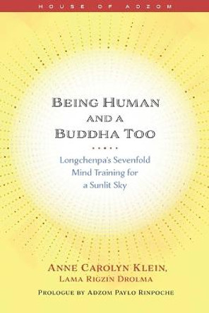 Being Human and a Buddha Too: Longchenpa's Seven Trainings for a Sunlit Sky by Anne Klein