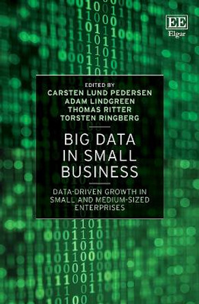 Big Data in Small Business: Data-Driven Growth in Small and Medium-Sized Enterprises by Carsten Lund Pedersen