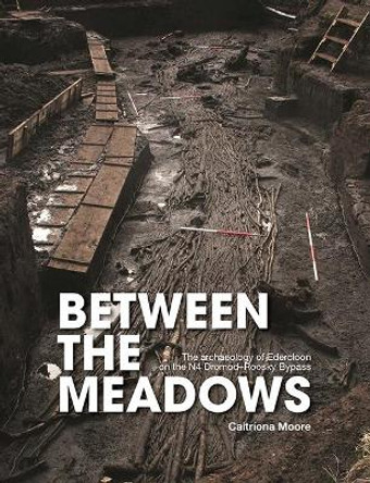 Between the Meadows: The archaeology of Edercloon on the N4 Dromod–Roosky Bypass by Caitríona Moore