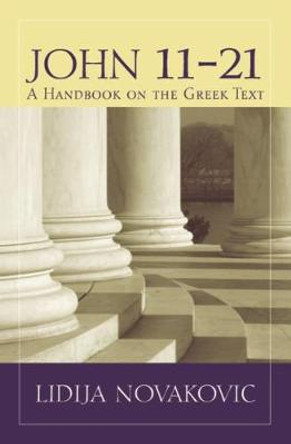 John 11a21: A Handbook on the Greek New Testament by Lidija Novakovic