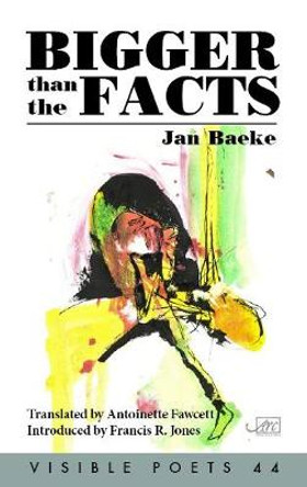 Bigger Than the Facts by Jan Baeke