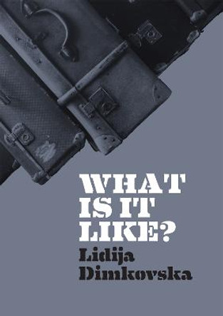 What Is It Like? by Lidija Dimkovska