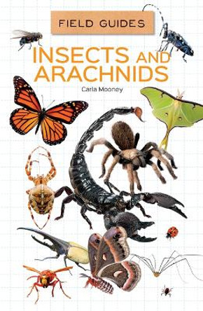 Insects and Arachnids by Carla Mooney