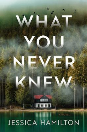 What You Never Knew: A Novel by Jessica Hamilton