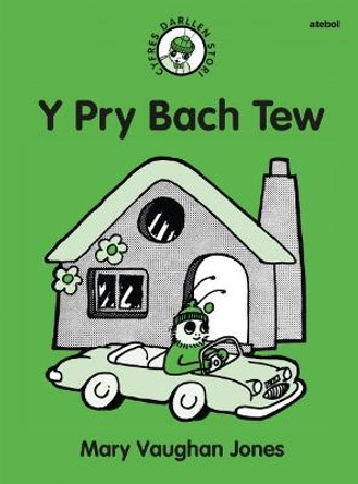 Cyfres Darllen Stori: Y Pry Bach Tew by Mary Vaughan Jones
