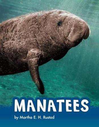 Manatees by Martha E H Rustad