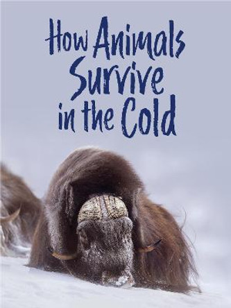 How Animals Survive in the Cold: English Edition by Kelly Graham