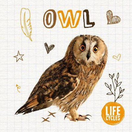 Owl by Madeline Tyler