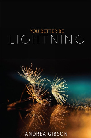 You Better Be Lightning by Andrea Gibson