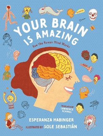 Your Brain Is Amazing: How the Human Mind Works by Esperanza Habinger