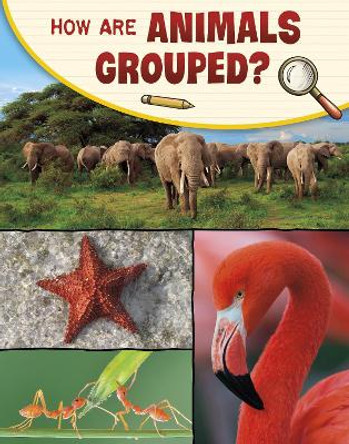 How Are Animals Grouped? by Lisa M. Bolt Simons