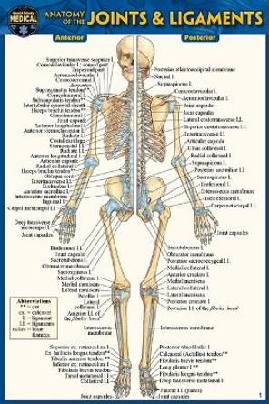 Anatomy of the Joints & Ligaments (Pocket-Sized Edition - 4x6 Inches) by Vincent Perez