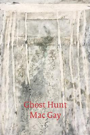 Ghost Hunt by Mac Gay