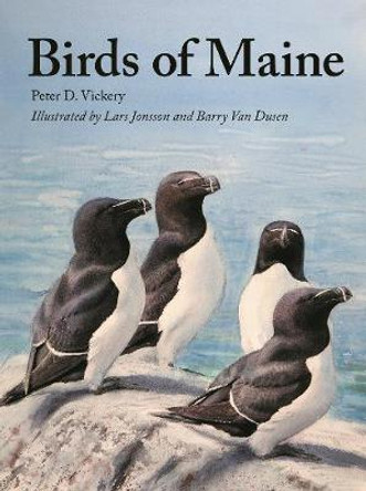 Birds of Maine by Peter Vickery