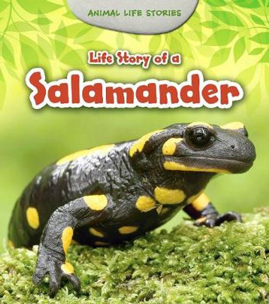 Life Story of a Salamander by Charlotte Guillain