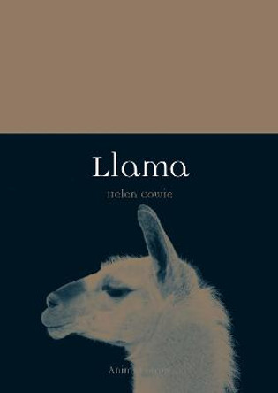 Llama by Helen Cowie