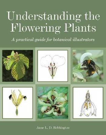 Understanding the Flowering Plants: A Practical Guide for Botanical Illustrators by Anne Bebbington