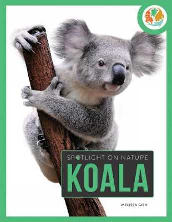 Spotlight on Nature: Koala by Melissa Gah