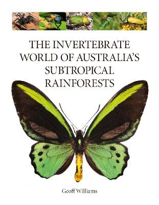 The Invertebrate World of Australia’s  Subtropical Rainforests by Geoff Williams
