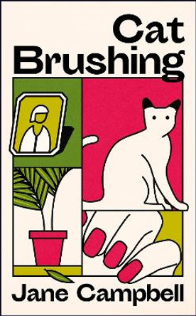 Cat Brushing: a dazzling short story collection about thirteen older women by Jane Campbell