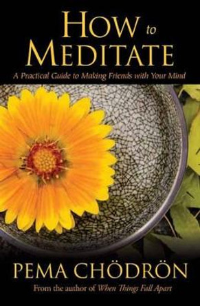 How to Meditate: A Practical Guide to Making Friends with Your Mind by Pema Chodron