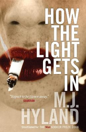 How The Light Gets In by M. J. Hyland