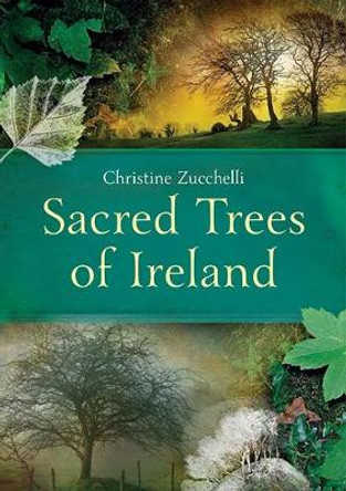 Sacred Trees of Ireland by Christine Zucchelli