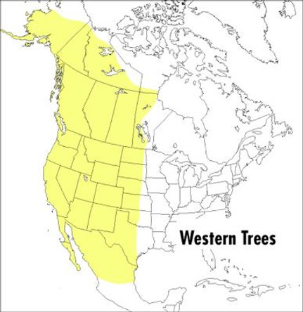 Field Guide to Western Trees by George A. Petrides