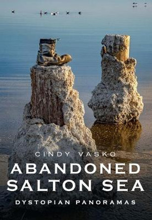 Abandoned Salton Sea: Dystopian Panoramas by Cindy Vasko