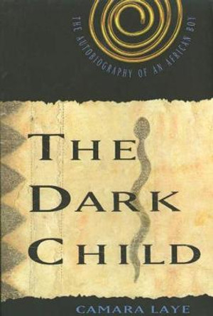 The Dark Child by Ernest Jones