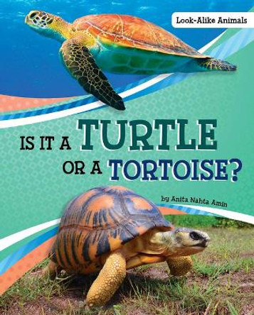 Is It a Turtle or a Tortoise? by Anita Nahta Amin