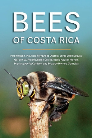 Bees of Costa Rica by Paul Hanson