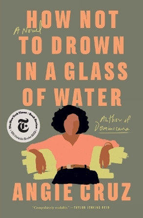How Not to Drown in a Glass of Water by Angie Cruz 9781250208460