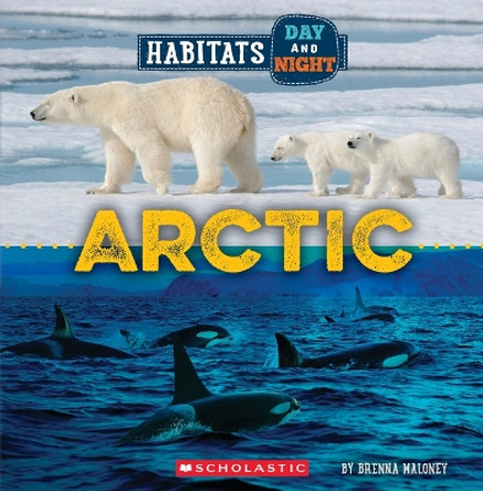 Arctic (Wild World: Habitats Day and Night) by Brenna Maloney 9781339020709