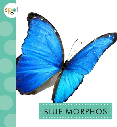 Blue Morphos by Alissa Thielges 9781681527833