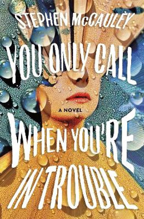 You Only Call When You're in Trouble by Stephen McCauley 9781250296795