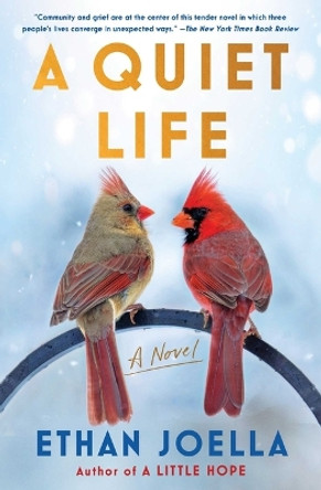 A Quiet Life by Ethan Joella 9781982190989