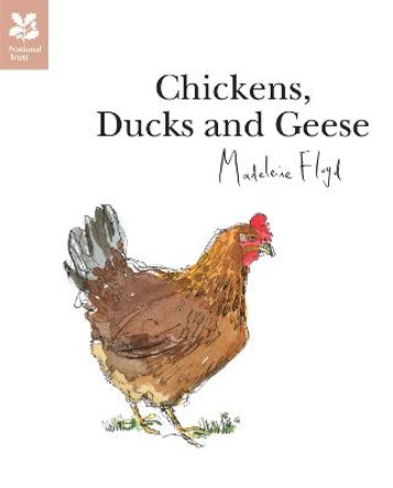 Chickens, Ducks and Geese by Madeleine Floyd