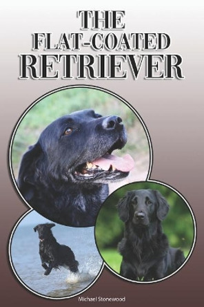 The Flat-Coated Retriever: A Complete and Comprehensive Owners Guide To: Buying, Owning, Health, Grooming, Training, Obedience, Understanding and Caring for Your Flat-Coated Retriever by Michael Stonewood