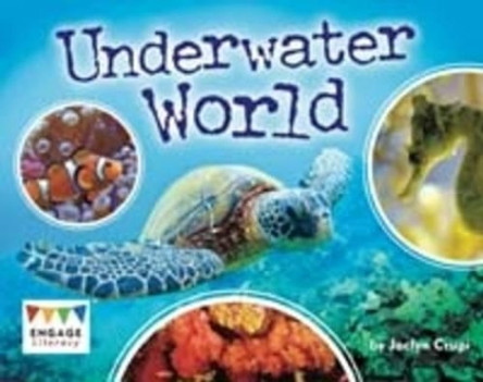 Underwater World by Jaclyn Crupi