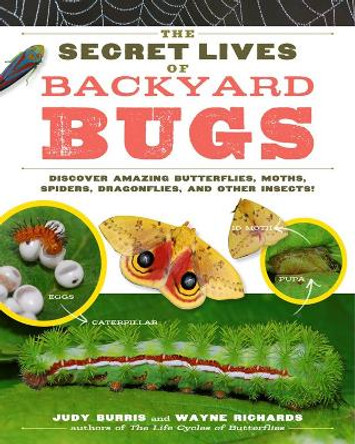 Secret Lives of Backyard Bugs by Judy Burris