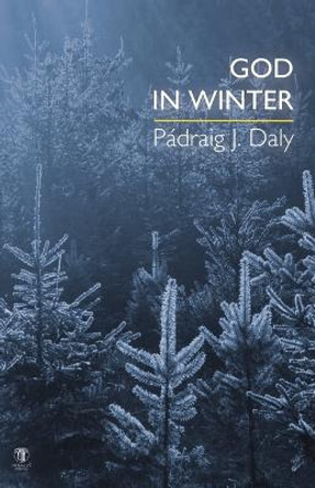 God in Winter by Padriag J Daly