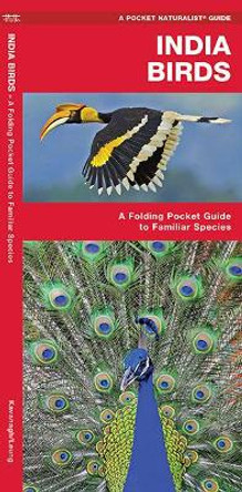 India Birds: A Folding Pocket Guide to Familiar Species by James Kavanagh