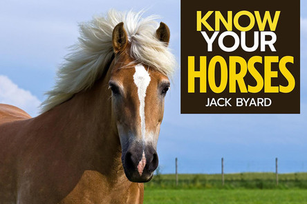 Know Your Horses by Jack Byard