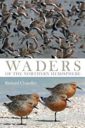 Shorebirds of the Northern Hemisphere by Richard Chandler